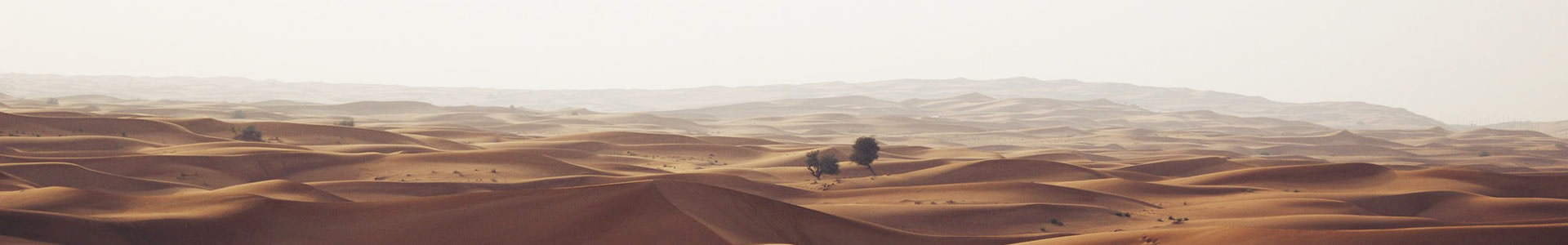 ʵƼ޹˾